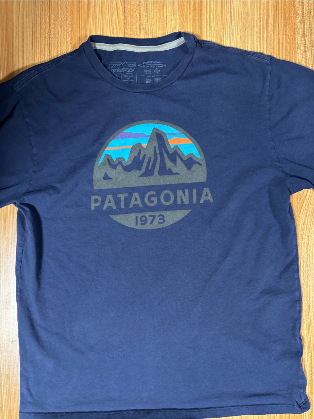 Men’s Patagonia T-Shirt
